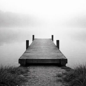 Tranquil Black and White Lakeside Art Print